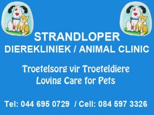 Strandloper Animal Clinic