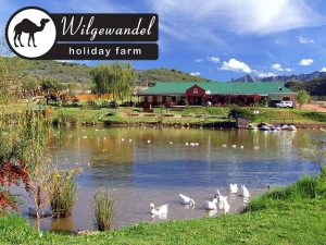 Wilgewandel Holiday Farm Activities