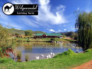 Wilgewandel Holiday Farm Accommodation