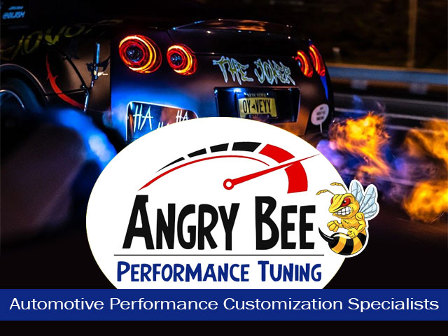Angry Bee Performance Tuning Mossel Bay 01 a 1