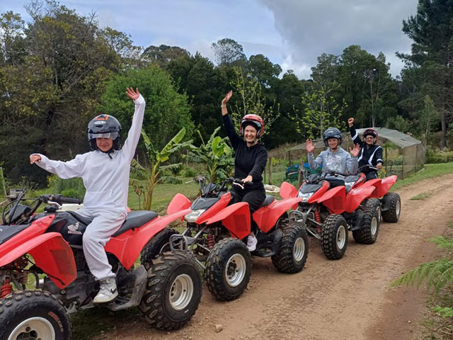 Southern Comfort Quad Bikes Knysna Quad Biking Adventures