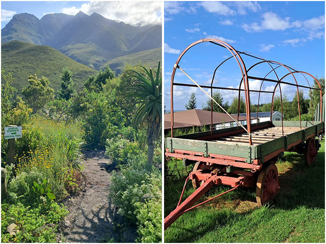 The Old Toll House George 05