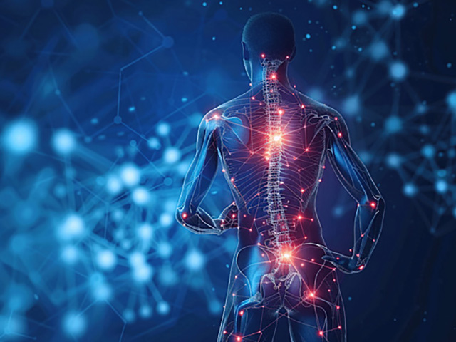 Tree of Life Body Realignment 6